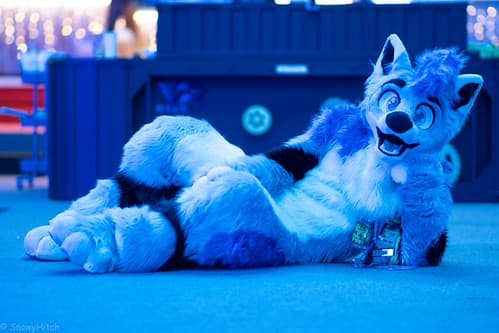 _DSF2347-Enhanced-NR