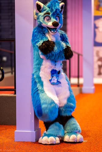 _DSF2333-Enhanced-NR