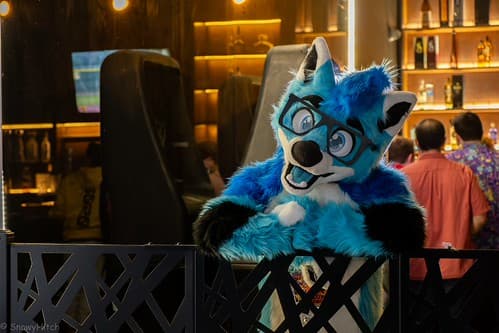 _DSF4057-Enhanced-NR