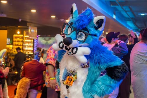 _DSF4026-Enhanced-NR