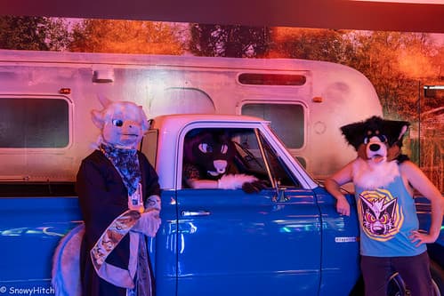 _DSF6528-Enhanced-NR