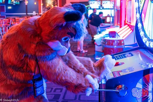 _DSF6560-Enhanced-NR