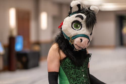 _DSF1593-Enhanced-NR