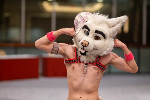 _DSF1577-Enhanced-NR