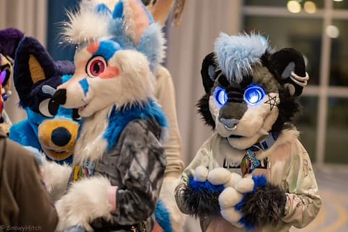 _DSF1559-Enhanced-NR