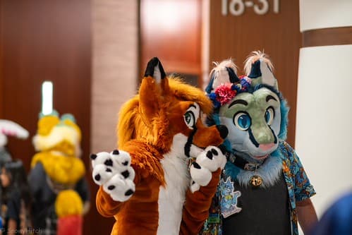 _DSF1567-Enhanced-NR