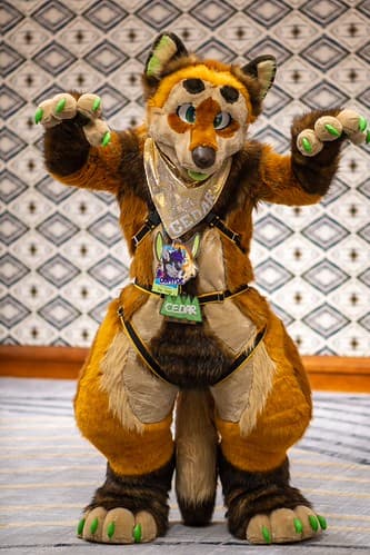 _DSF1531-Enhanced-NR