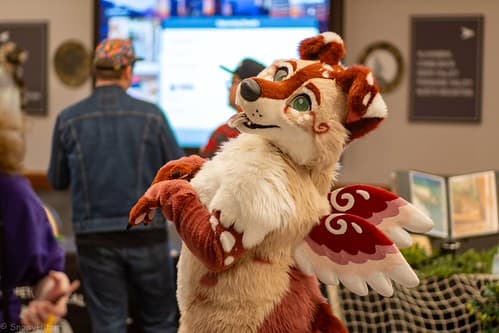 _DSF1637-Enhanced-NR