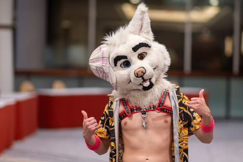 _DSF1570-Enhanced-NR