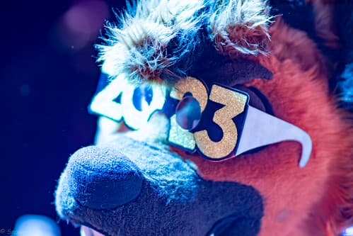 _DSF1865-Enhanced-NR