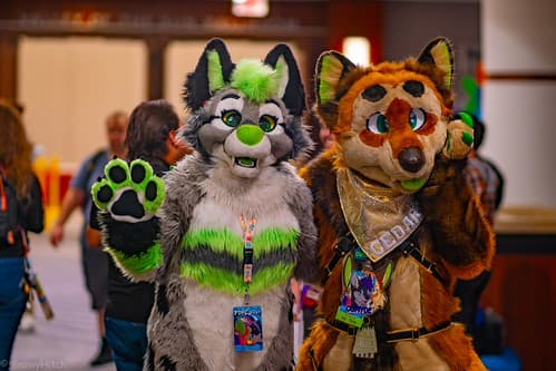 _DSF1502-Enhanced-NR