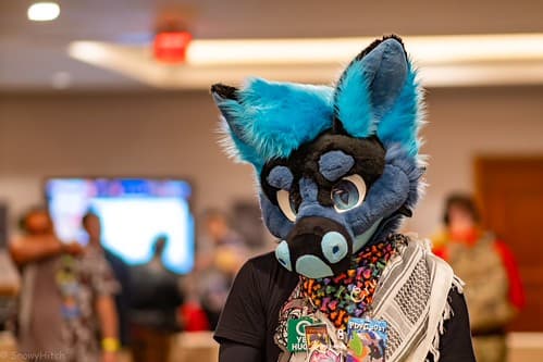 _DSF1542-Enhanced-NR