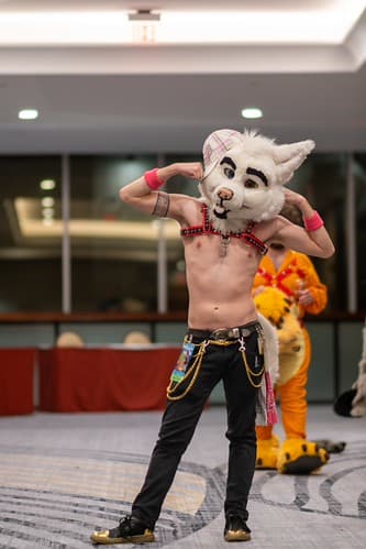 _DSF1583-Enhanced-NR