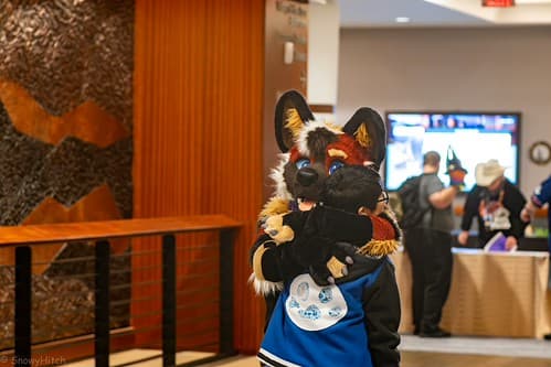 _DSF1682-Enhanced-NR