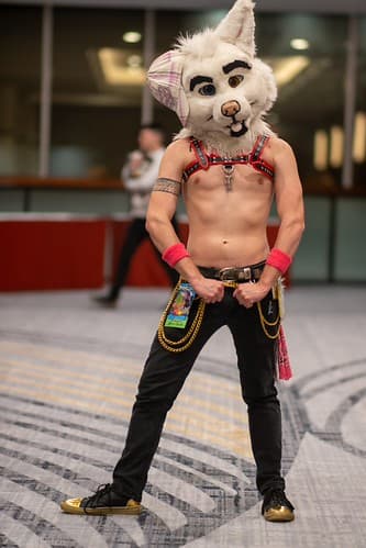 _DSF1586-Enhanced-NR