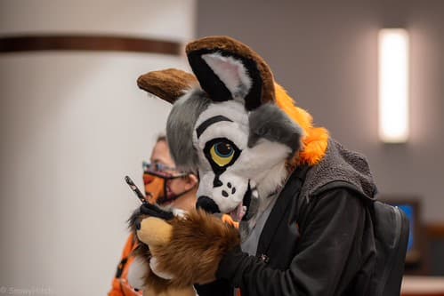 _DSF1626-Enhanced-NR