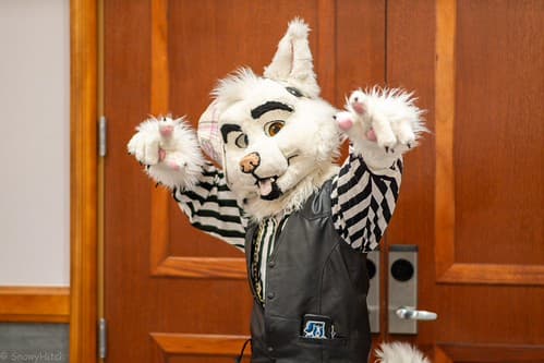 _DSF1631-Enhanced-NR