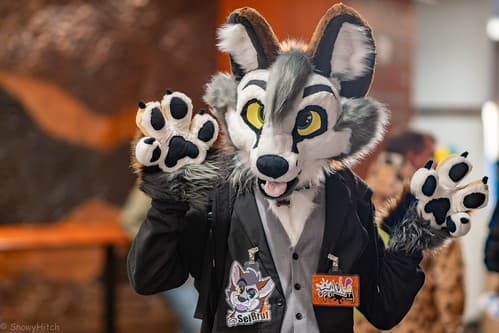 _DSF1656-Enhanced-NR