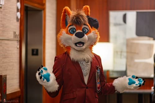 _DSF1672-Enhanced-NR